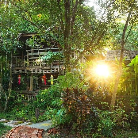 Tongluang Inthanon Homestay โต้งหลวงอินทนนท์โฮมสเตย์ Chom Thong Exterior foto