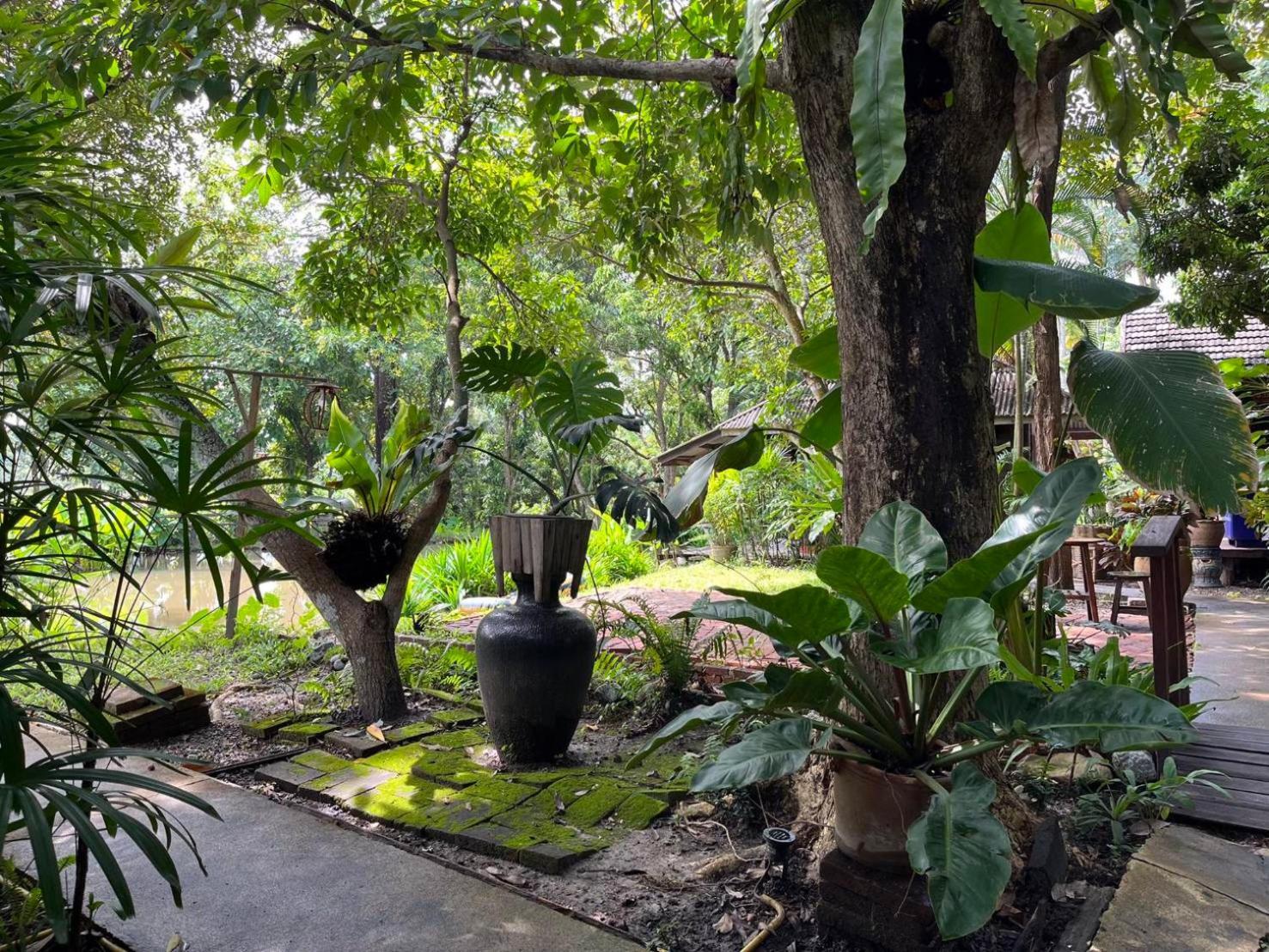 Tongluang Inthanon Homestay โต้งหลวงอินทนนท์โฮมสเตย์ Chom Thong Exterior foto